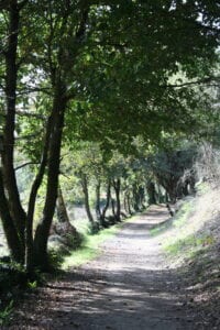 Caminos de Santiago