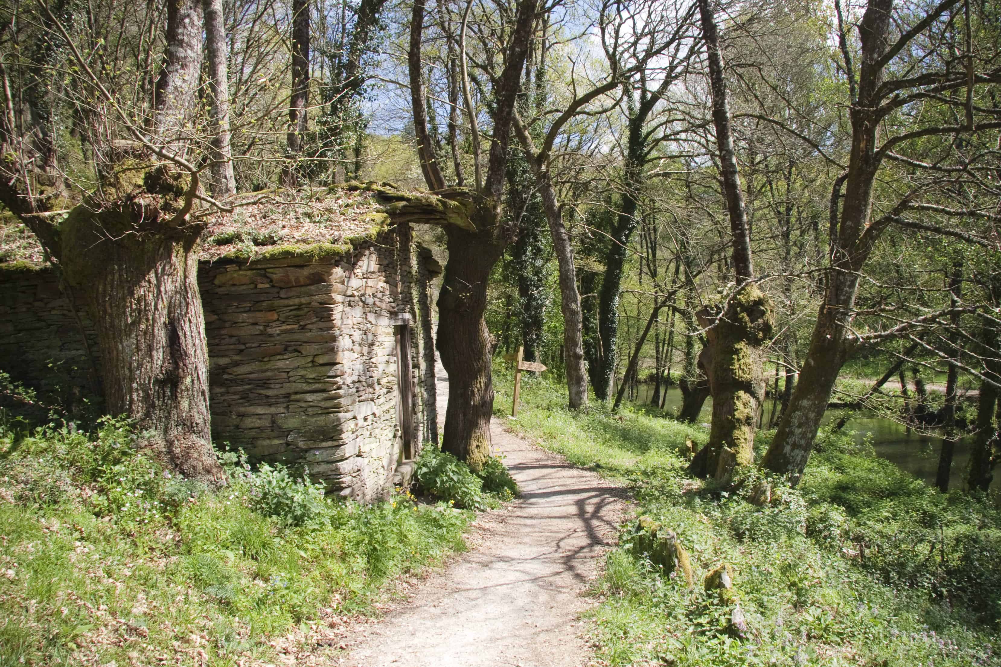 Roteiro das Aceas