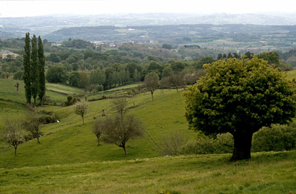 O Paramo