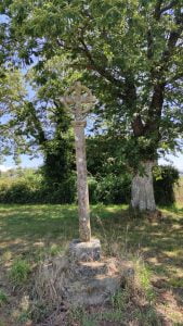 corvelle2
