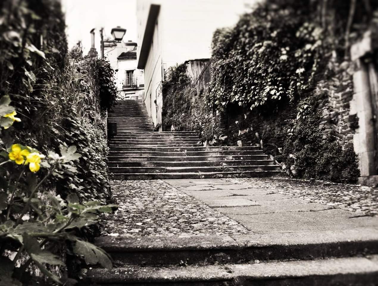 Escalinata Maior. Foto Manuel Somoza
