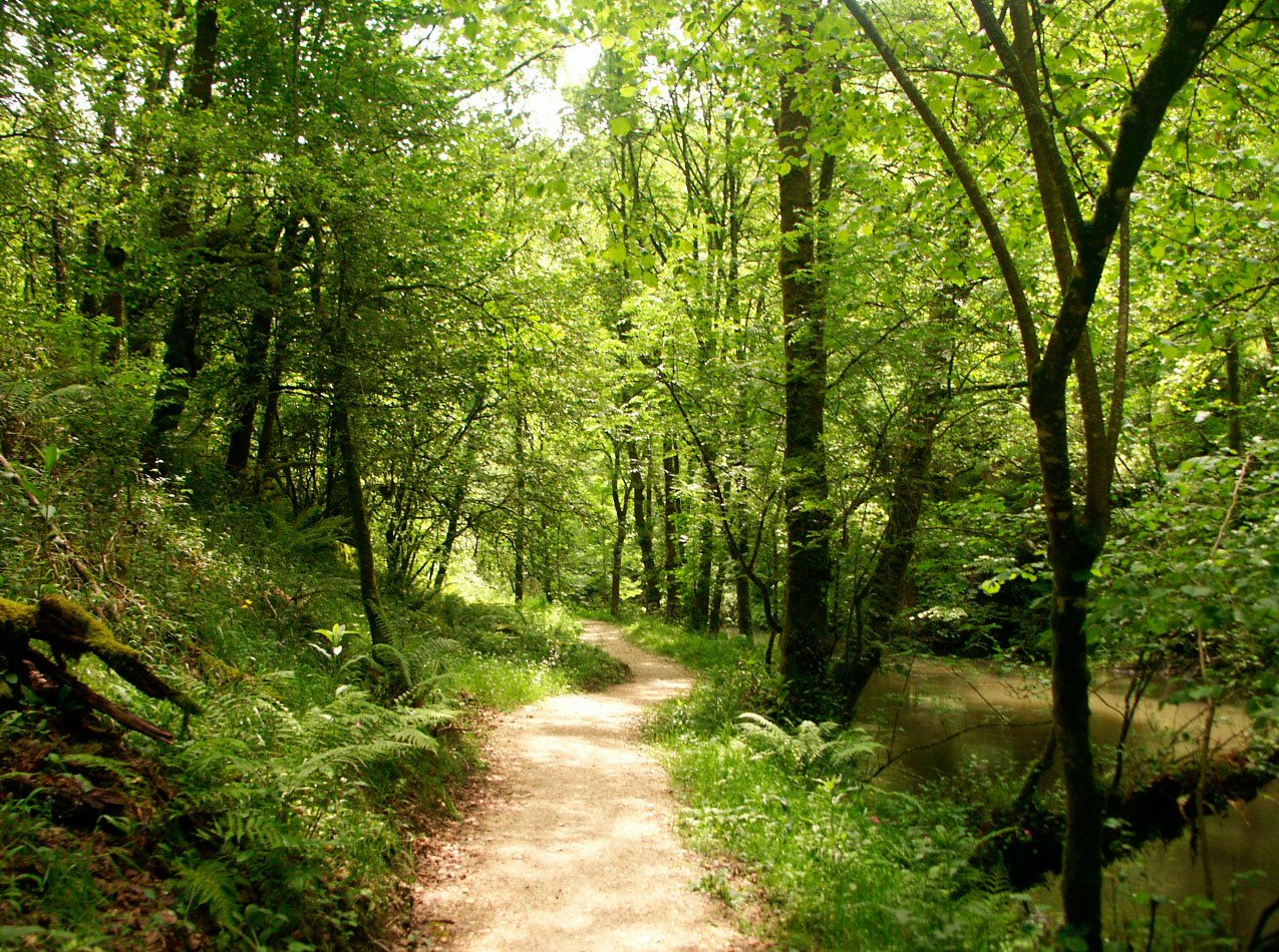 Ruta da Foz das Aceas
