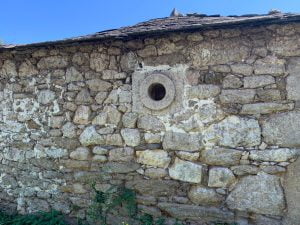 6san vicente betote